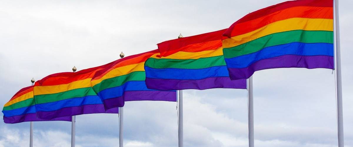 Tinder lance une fonction de protection pour ses utilisateurs LGBTQ+ Une lignée de drapeau LGBT