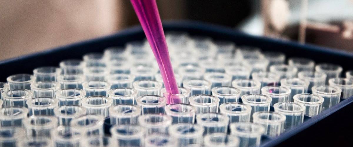 Un vaccin contre la grippe créé à l’aide de l’intelligence artificielle Une pipette met un liquide violet dans des fioles