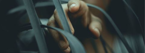 Selon YouTube, si vous voyez des vidéos complotistes, c’est de votre faute Une femme pointe du doigt dans la forêt