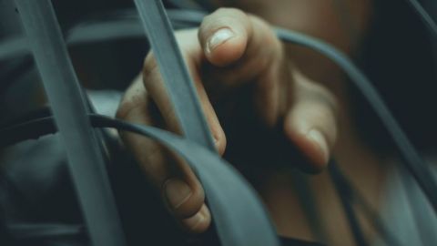 Une femme pointe du doigt dans la forêt