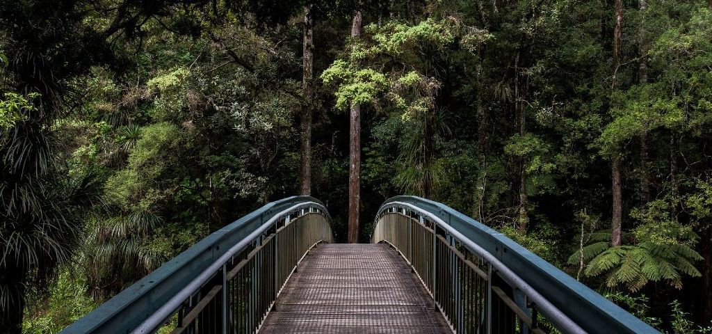 Comment les marques peuvent-elles trouver leur raison d’être ? Un pont et une forêt