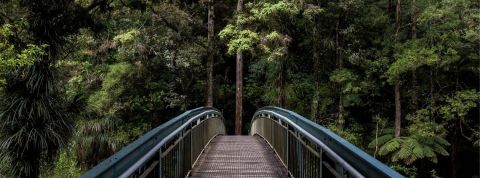Comment les marques peuvent-elles trouver leur raison d’être ? Un pont et une forêt