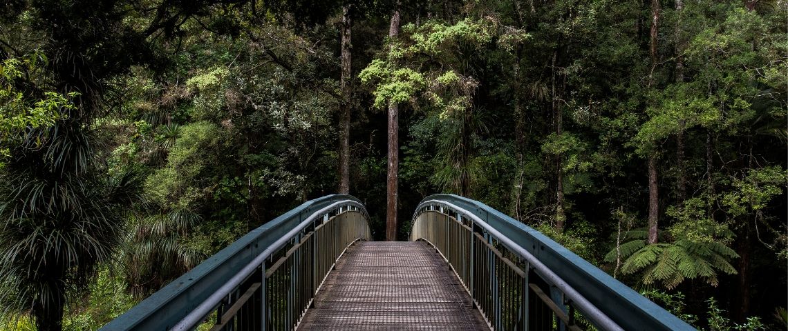 Comment les marques peuvent-elles trouver leur raison d’être ? Un pont et une forêt