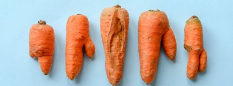 On a rencontré la communauté anti-gaspi de Too Good To Go Des carottes abimées