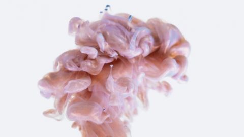 Peinture rose en forme de cerveau