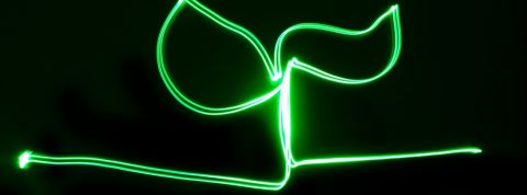 Quelles solutions pour les leaders de demain ? Un signe vert en neon qui représente une feuille