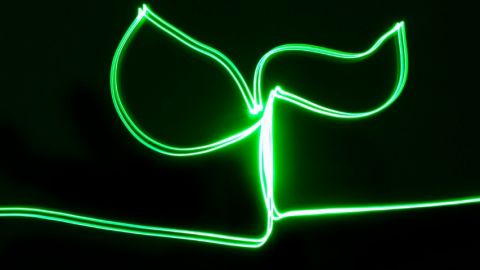 Quelles solutions pour les leaders de demain ? Un signe vert en neon qui représente une feuille