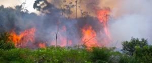 Incendie dans la forêt au Brésil.