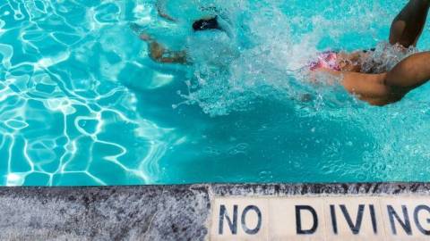 Les managers dans le grand bain de l'entreprise