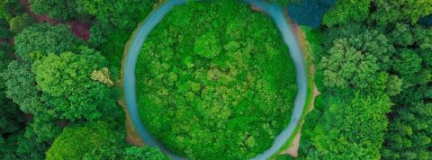 Toutes les raisons de devenir une entreprise à mission se valent-elles ? Prise de vue du ciel d'une forêt