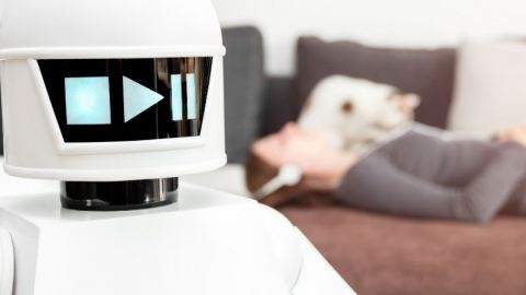 Un robot dans la maison, pour le pire et pour le meilleur ? 