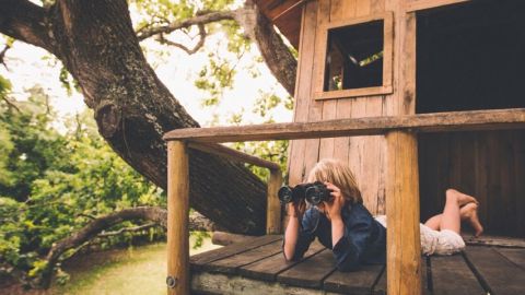 maison-futur-ecologie-environnement-cabane-energie
