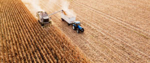 Un tracteur en train de moissonner un champ de blé