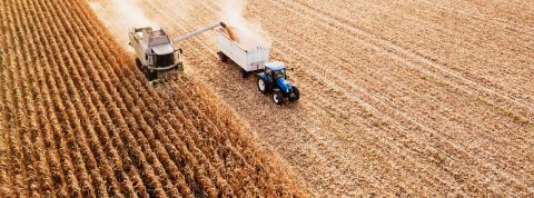 À qui profite la loi Alimentation ? Un tracteur en train de moissonner un champ de blé