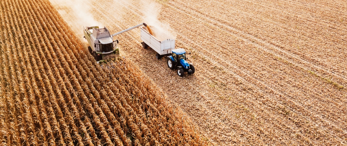 À qui profite la loi Alimentation ? Un tracteur en train de moissonner un champ de blé