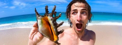 Quentin Albert est content quand il regarde son compteur de vues Un jeune homme sur une plage en train de tenir un coquillage