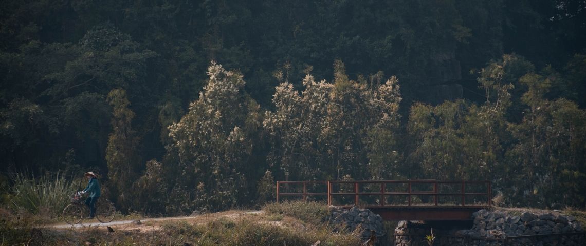 Le journaliste Hugo Clément s'engage et lance une cagnotte en ligne Photo d'une forêt avec une personne qui se promène en vélo