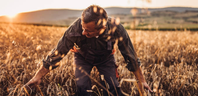 Agribashing : quand un hashtag ne fait pas vraiment avancer le débat