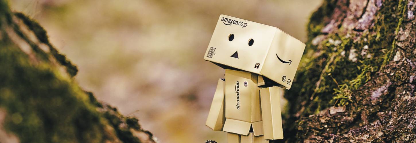 Amazon France annonce l’automatisation des dons d’invendus pour 2020 Petit bonhomme dans le creux d'un arbre réalisé avec des cartons Amazon
