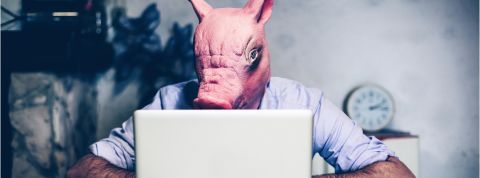 derrière les sites porno se cachent des milliers de modérateurs bénévoles un homme portant un masque de cochon regarde un ordinateur