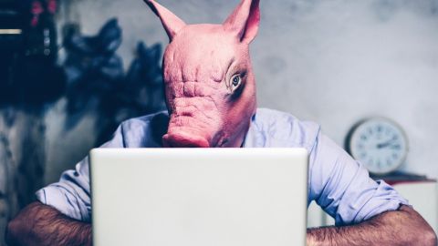 un homme portant un masque de cochon regarde un ordinateur