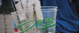 Gobelets en plastique labellisés "éco" ramassés sur la plage.