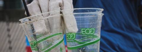 Un site anti-greenwashing pour évaluer les employeurs Gobelets en plastique labellisés - éco - ramassés sur la plage.