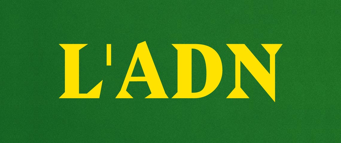 logo de LADN le logo en jaune sur fond vert