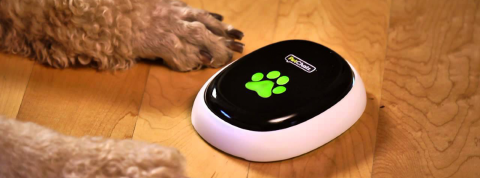 Pour le Black Friday, merci de ne pas acheter ces objets connectés infernaux Chien devant le système PetChatz