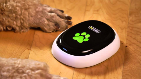 Chien devant le système PetChatz