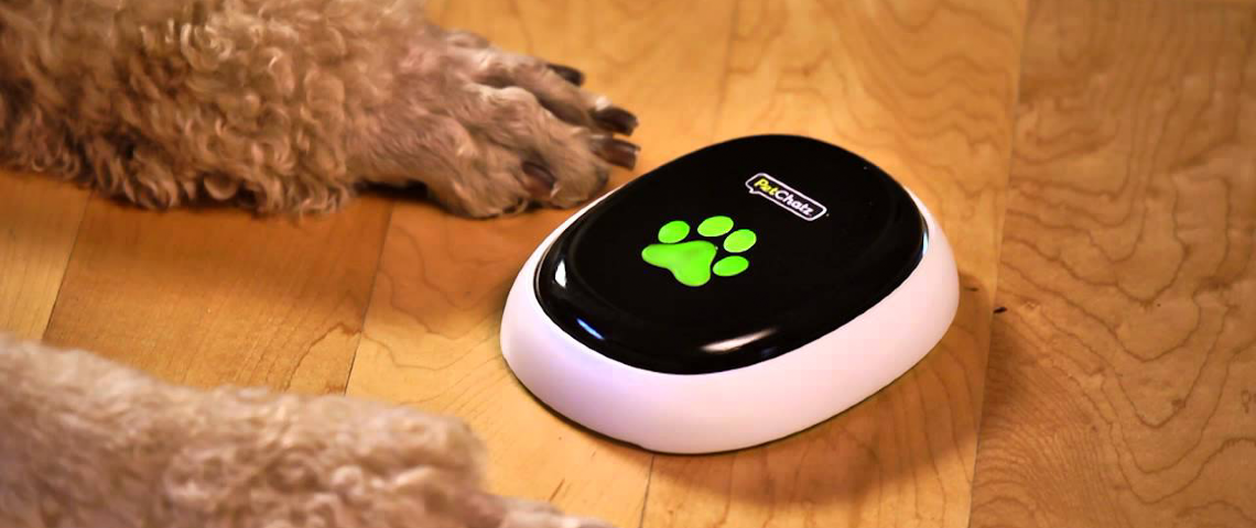 Pour le Black Friday, merci de ne pas acheter ces objets connectés infernaux Chien devant le système PetChatz