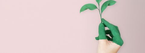 Qui doit diriger la RSE en entreprise ? Une main avec de la peinture verte sur un fond rose