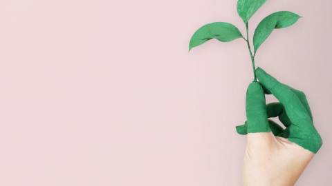 Qui doit diriger la RSE en entreprise ? Une main avec de la peinture verte sur un fond rose