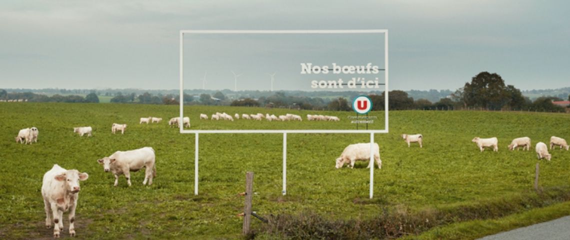 Les Magasins U, dévoilent en toute « transparence » leur engagement pour plus de proximité Panneau transparent qui laisse b=voir les boeufs qui sont dans le champ derrière, avec l'inscription : Nos Boeufs sont d'ici