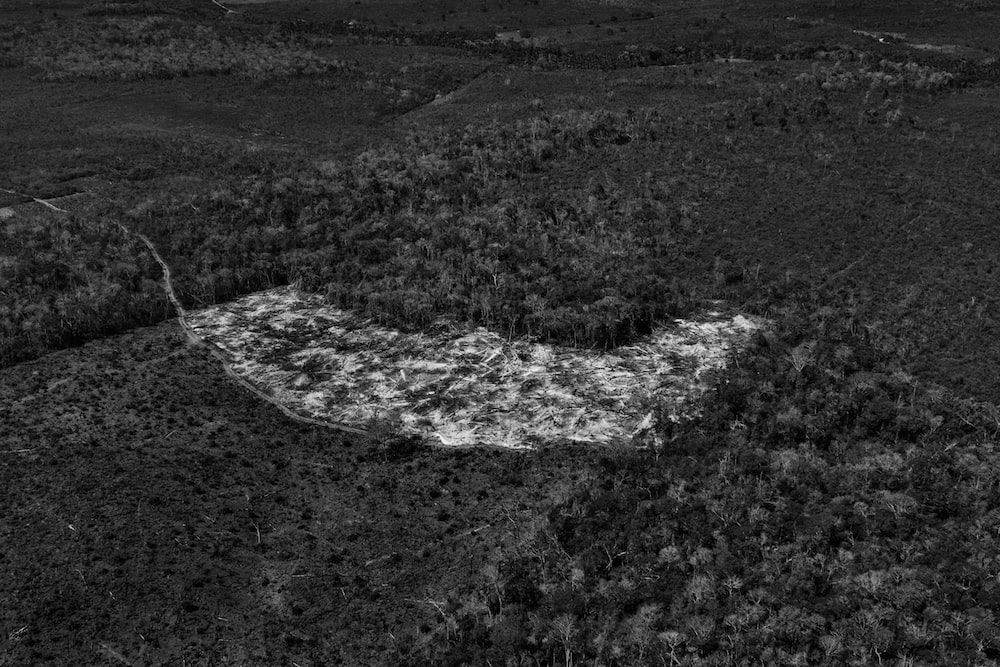 photo de déforestation en Amazonie