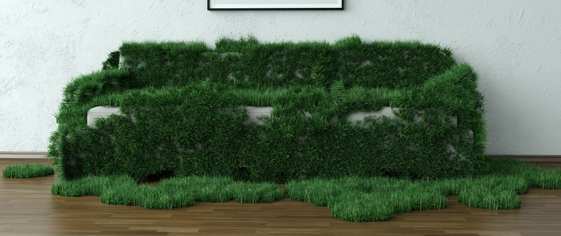 un canapé avec de l'herbe dessus