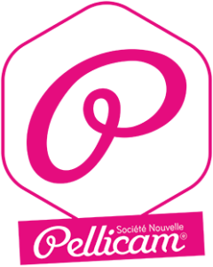 SOCIETE NOUVELLE PELLICAM SOCIETE NOUVELLE PELLICAM