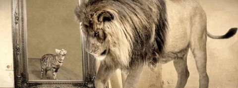 L'ubiquité à l'honneur des Napoleons L'ubiquité à l'honneur des Napoleons