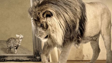 L'ubiquité à l'honneur des Napoleons