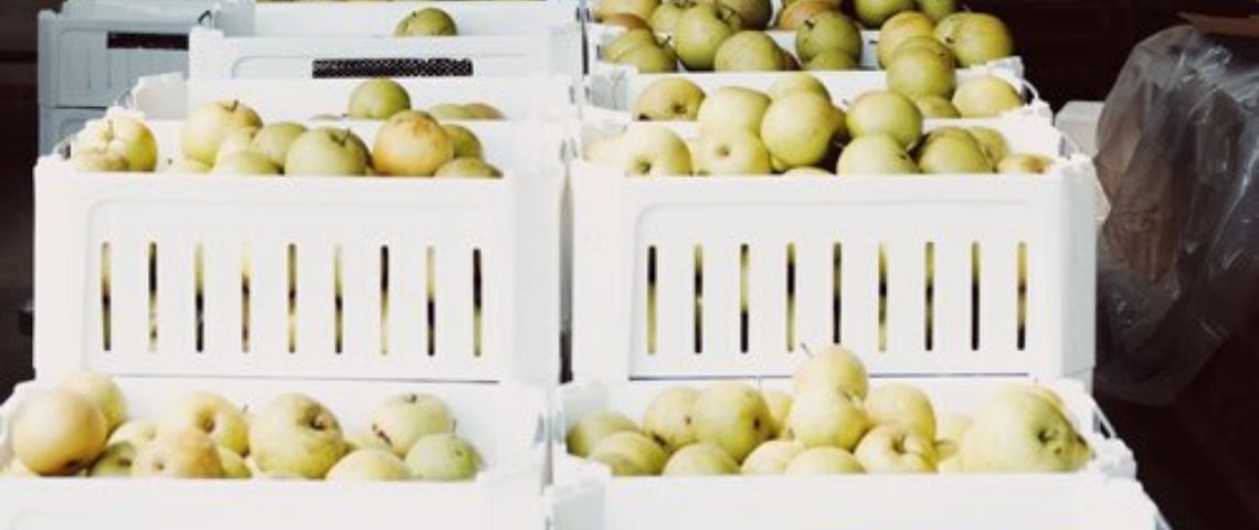 Trois solutions pour passer (vraiment) à l’économie circulaire pommes vertes dans bacs blancs recyclables