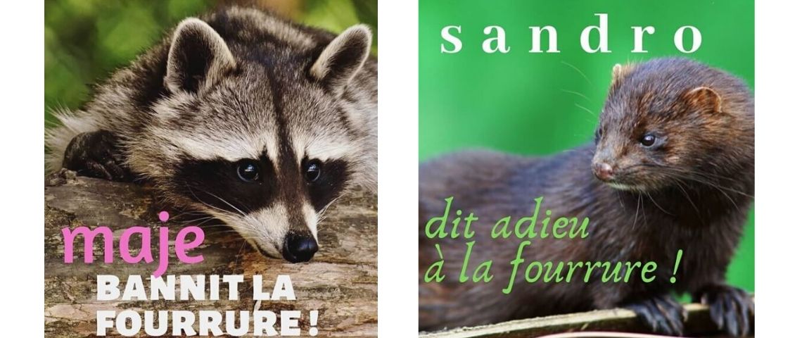 Sandro, Maje et Claudie Pierlot arrêtent la fourrure Visuel de la Peta : Maje, bannit la fourrue ! et Sandro dt adieu à la fourrure