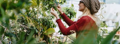 Quelles sont les tendances dans le secteur du bâtiment ? Une jeune femme en train de pratiquer l'agriculture urbaine