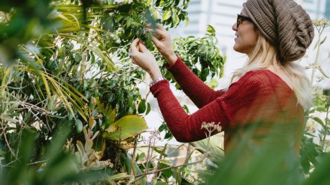 Une jeune femme en train de pratiquer l'agriculture urbaine