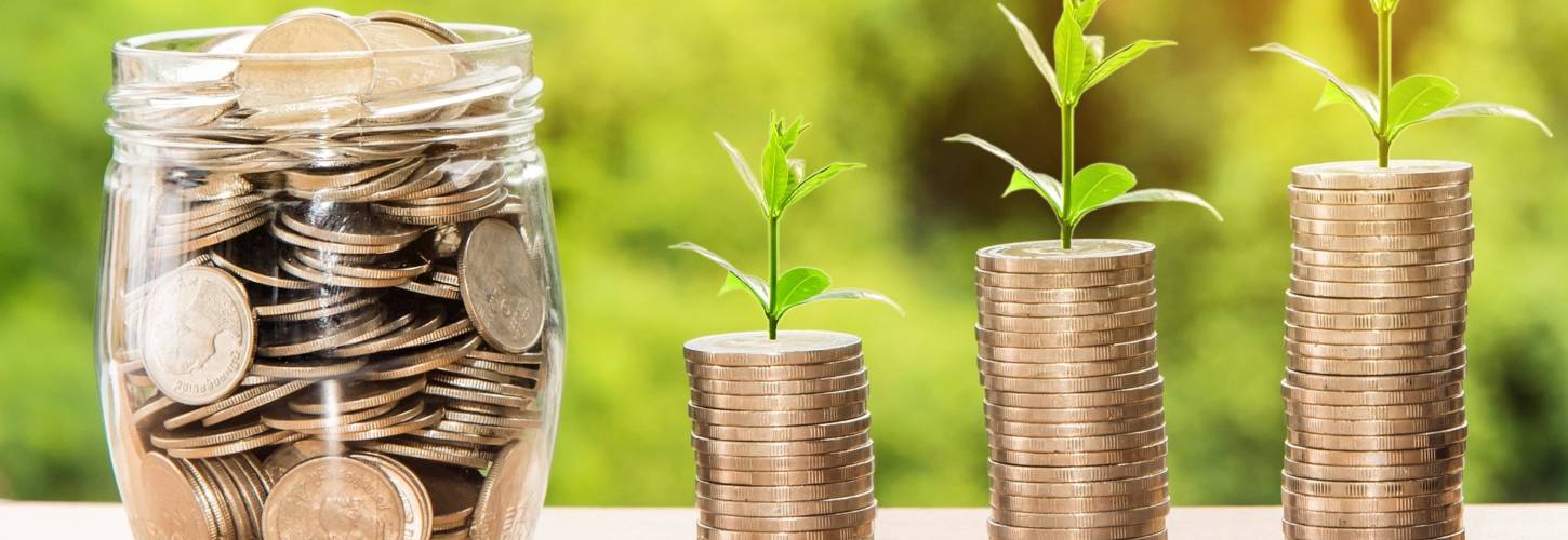 Baby vc : le premier bootcamp français dédié au Venture Capital à destination de ceux qui aspirent à rejoindre ce milieu Piece de monnaire avec une petite plantye qui pousse sur le dessus