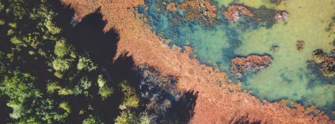 Microsoft : 1 milliard de dollars pour sauver la planète Un paysage vu du ciel