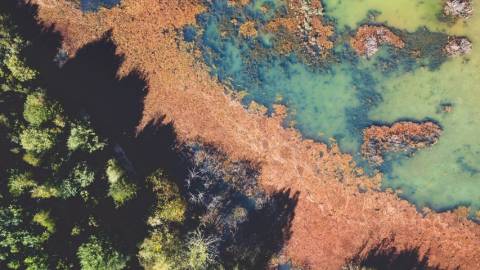 Microsoft : 1 milliard de dollars pour sauver la planète Un paysage vu du ciel