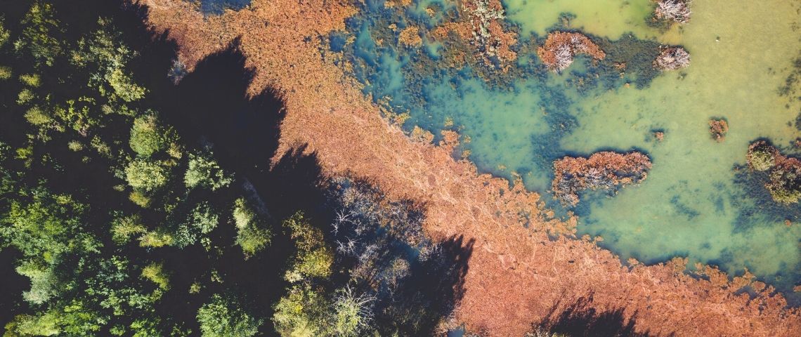 Microsoft : 1 milliard de dollars pour sauver la planète Un paysage vu du ciel