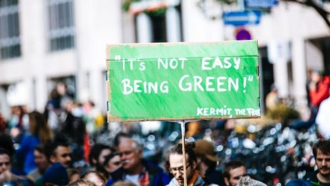 Une pancarte  - it's not easy being green - 