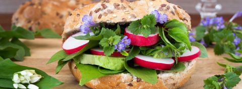 L'alimentation du futur selon Foodchéri Un burger avec des fleurs dedans