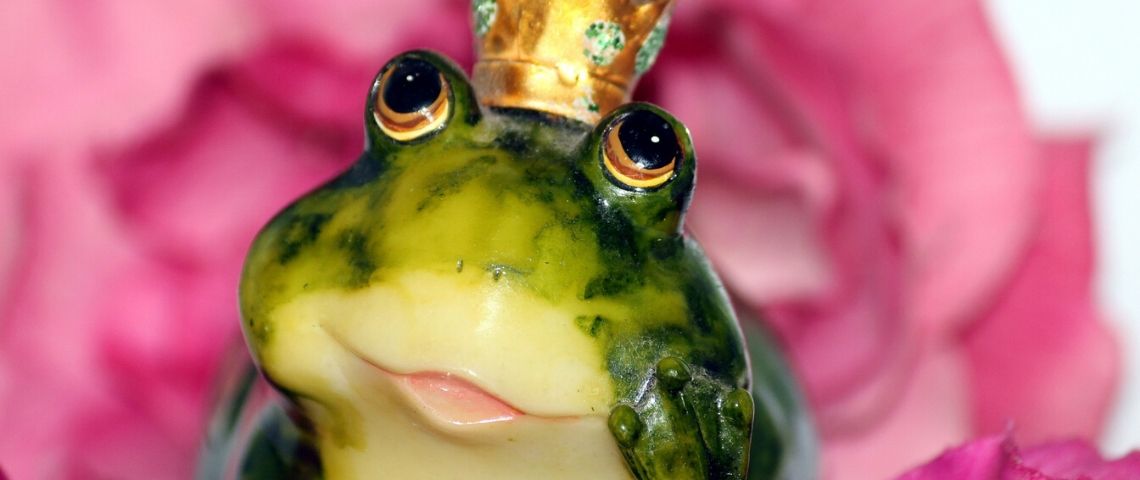 Once, application de slow dating décide de bousculer les codes du dating pour rassurer les déçus des applis et rallier les hésitants. Photo d'une grenouille avec une couronne sur sa tête